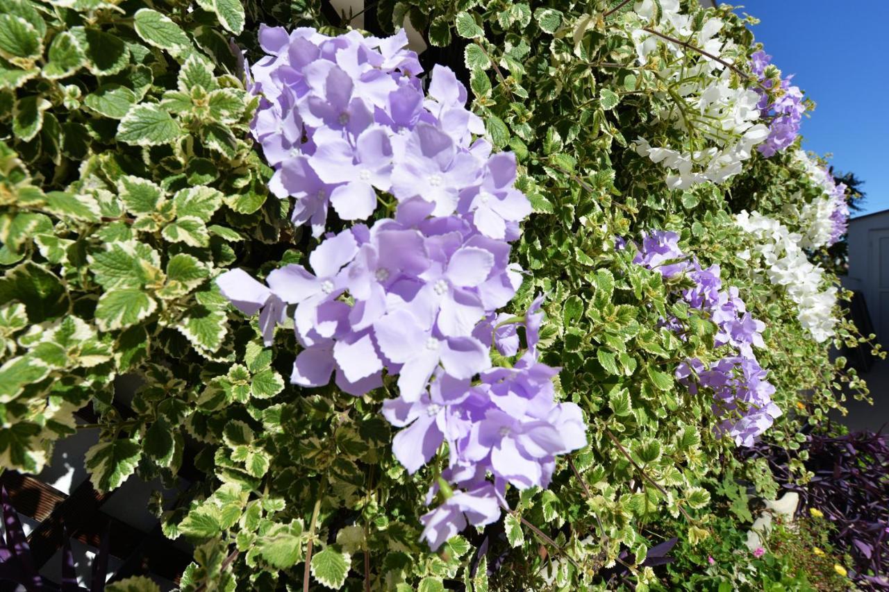 Apartment Lavender Vir Ngoại thất bức ảnh