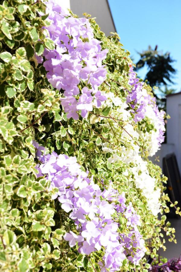 Apartment Lavender Vir Ngoại thất bức ảnh